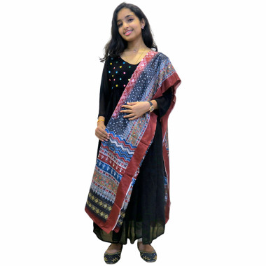 Georgette Yoke Pleated Dress with Glass Work and Pakistani Dupatta Set