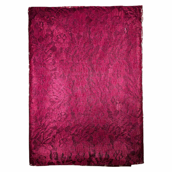 Classic Net Party wear sari with blouse - Grape Wine colour