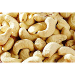 Cashew Nut കശുവണ്ടി